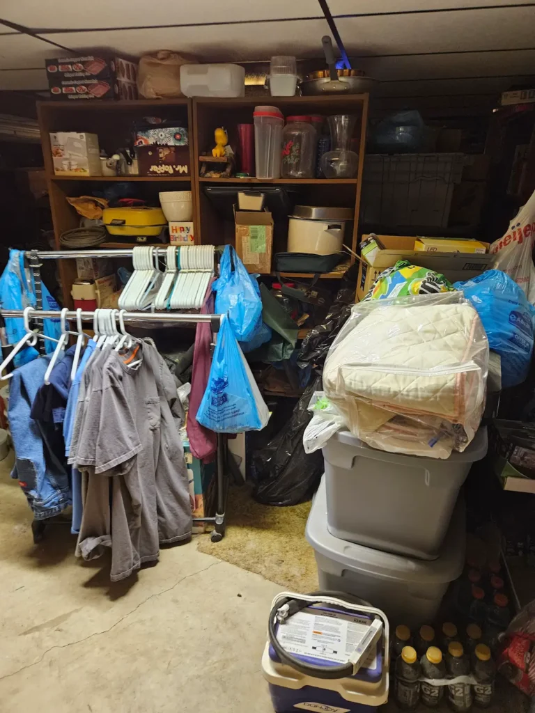 cluttered basement, clothes rack, bins, shelves, home clear out, declutter